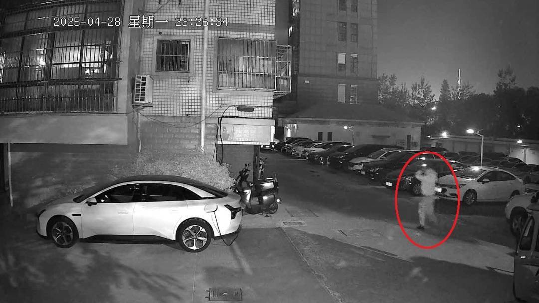 “變臉”大盜落網(wǎng)！硅膠面具難逃法眼:硅膠